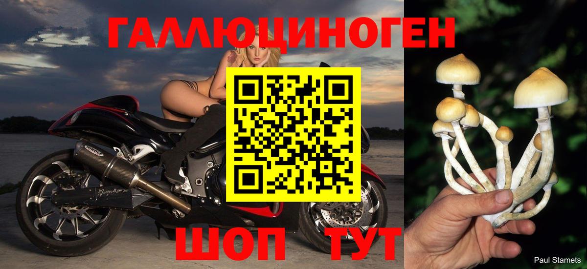 Галлюциногенные грибы Psilocybine cubensis Отрадный