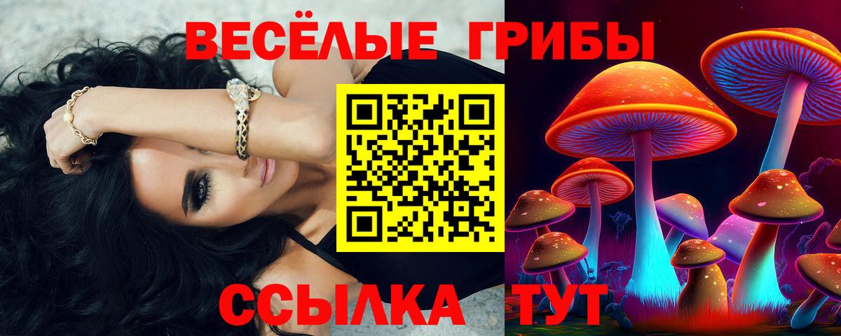 Отрадный  Галлюциногенные грибы Cubensis  Галлюциногенные грибы Magic Shrooms  Вход с VPN 