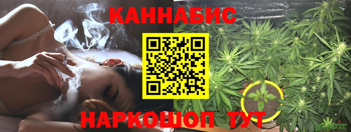 Отрадный  Канабис планчик  Канабис сатива  Вход с VPN 